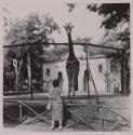 [Anna Toscano, wife of the photographer, standing near a giraffe at a zoo in Rome]