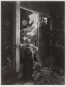 Ansel Adams, Carmel, California