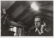 Lee Friedlander, New City, New York