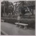 [Rosa Maria Toscano at a public garden in Reggio Calabria]