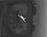 Mercury Flying