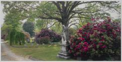 Rhododendron Collection, Meadville, Pennsylvania