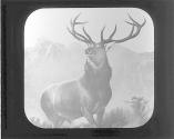 Monarch of the Glen. Landseer.