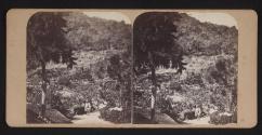 Tijuca, Etablissement de M. Bennett