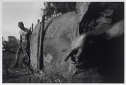 Carvoeiros
