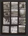 [Contact sheet from Chicago]