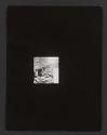 [Contact sheet from Chicago]