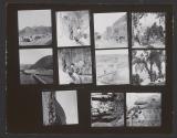 [Contact sheet from China]