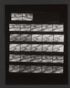 [Contact sheet from Bush Baby]