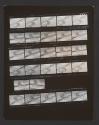 [Contact sheet from Bush Baby]