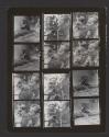 [Contact sheet from Bush Baby]