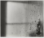 Willem de Kooning, New York City