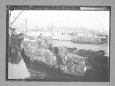 Le port et le coton-Barcelone/(Espagne)/(Crossed out:Espagne 315))