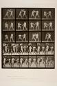 Boxing; with gloves (shoes)
