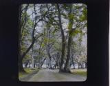 [Untitled]