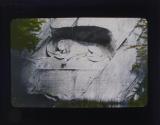 [Lion of Lucerne]