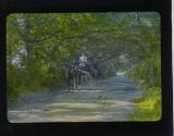 [Untitled]