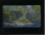 [Untitled]