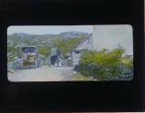 [Untitled]
