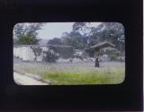 [Untitled]