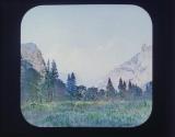 View up the Yosemite Valley