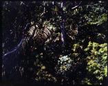 [Untitled]