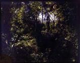 [Untitled]