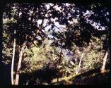 [Untitled]