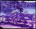 [Untitled]