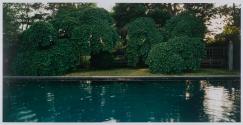 Camperdown Elms and Pool, Gratwick Estate, Linwood, New York