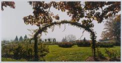 Autumn Rose Arbor, Hershey Gardens, Pennsylvania