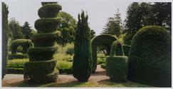 Geometric Topiary, Green Animals, Portsmouth, Rhode Island