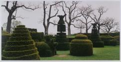 Bare Trees and Topiary, Longwood Gardens, Kennett Square, Pennsylvania