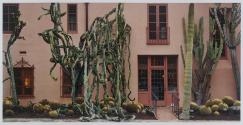 Relaxed Euphorbia, Lotusland, Montecito, California