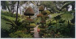 Fern Garden with Topiary, Lotusland, Montecito, California