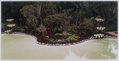 Aloe Garden with pond, Lotusland, Montecito, California
