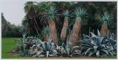 Agave Collection, Lotusland, Montecito, California