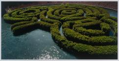 Azalea Maze, J. Paul Getty Center, Los Angeles, California