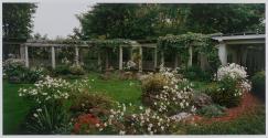 Rock Garden with Autumn Anenomes, George Eastman House, Rochester, New York