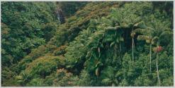 Nanue Falls, Hamakua Coast, Hawaii