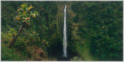 Akaka Falls, Hamakua Coast, Hawai'i