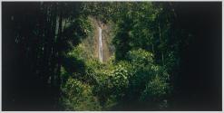 Waimoku Falls from Bamboo forest, Maui, Hawai'i