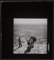 [Man with pack mules on mountain, Greece]
