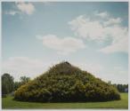 Nursery Topsoil Pile (summer), Lancaster, New York