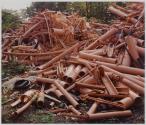 Gas Pipe Remnant Piles, Max Brock Salvage Company, Buffalo, New York