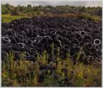 Five Million Tires, Hornburg Farm, Charlotte, New York