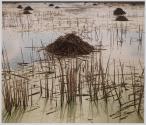 Muskrat Dwellings, Wastewater Treatment Plant, Batavia, New York