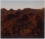 Leaf Pile, Town Compost Center, Amherst, New York