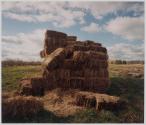 Hay Pile, Niagara County, New York