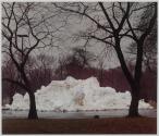 Trucked-in Snow, Delaware Park, Buffalo, New York